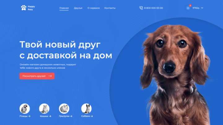 Happy Pets
