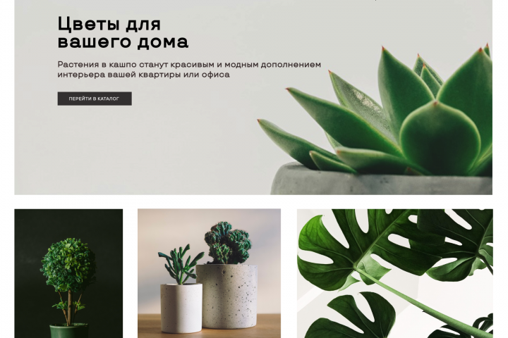 Главная страница цветочного магазина