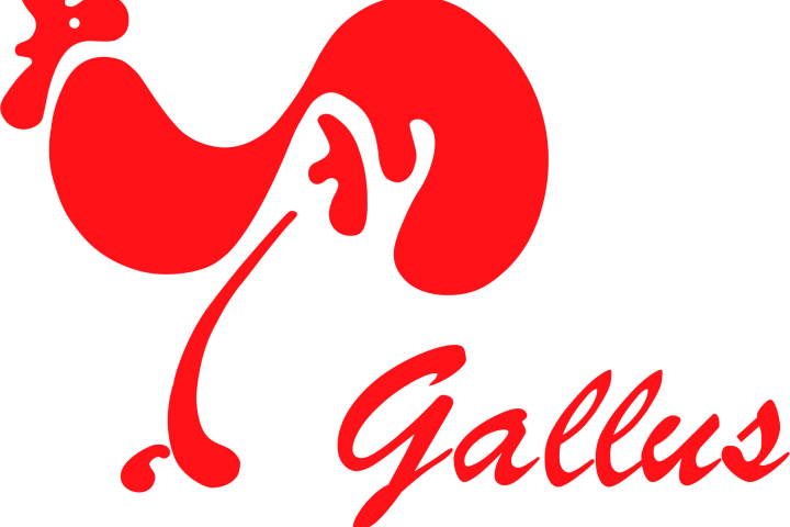 Логотип канцелярской фирмы "Galus"