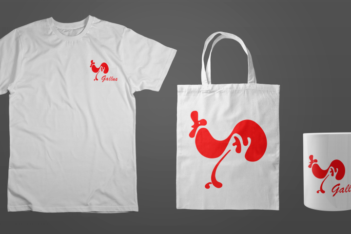 Разработка фирменного стиля для канцелярского магазина "Gallus"