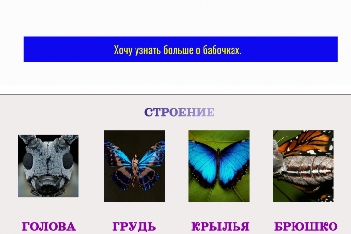 пробная работа