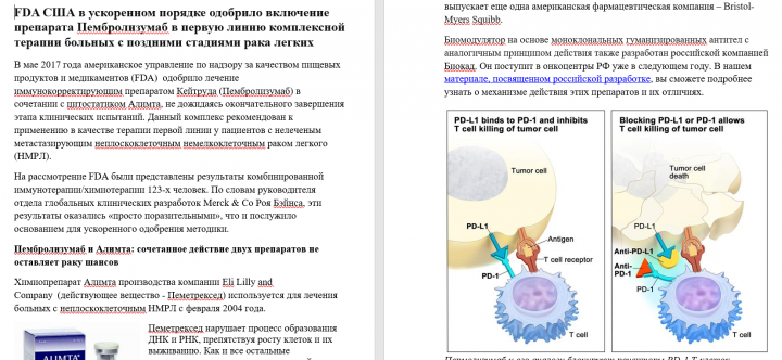 текст для сайта победи рак