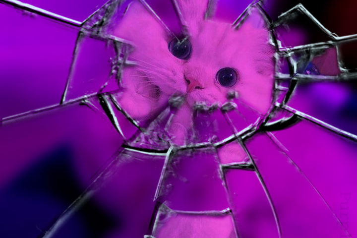 Милая работа с котиком