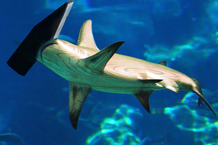 Акула молот