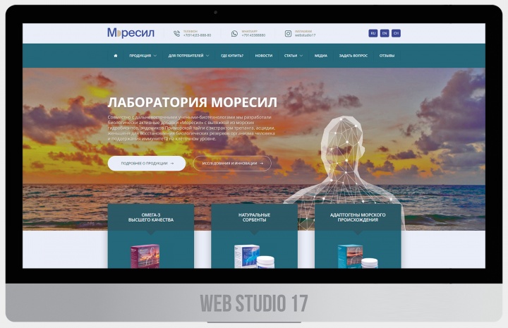 Лаборатория Моресил - большой проект с инфографикой