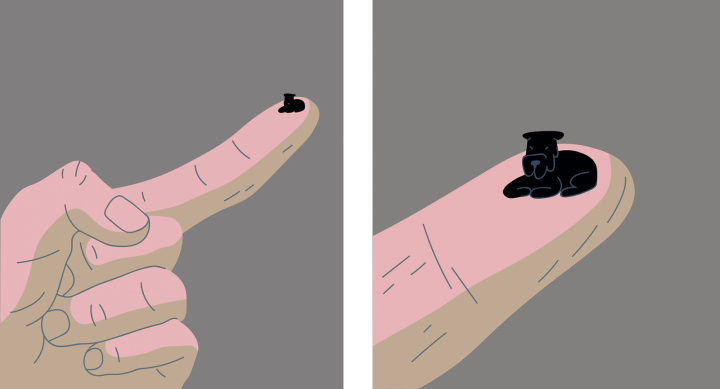 microdog