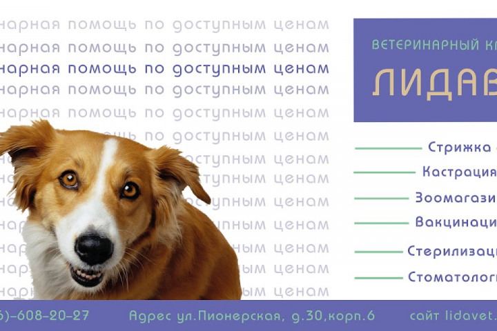 Баннер