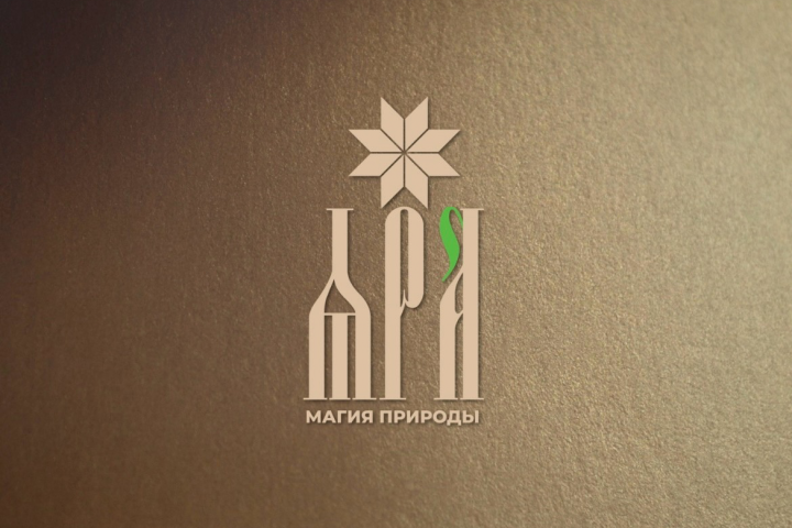 Логотип для магазина здоровой пищи