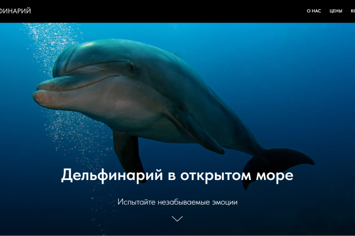 Дельфинарий