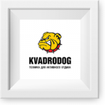 Технический аудит kvadrodog