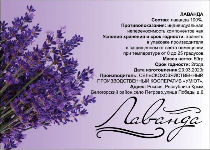 Разработка макета листовки, флаера