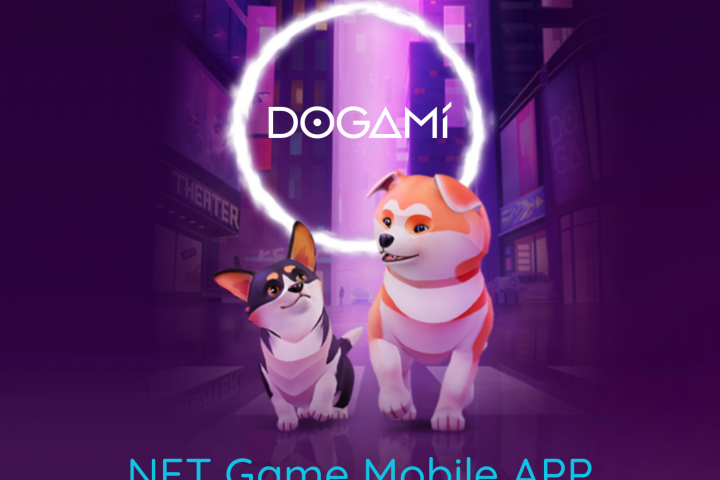 Мобильное приложение NFT игры Dogami