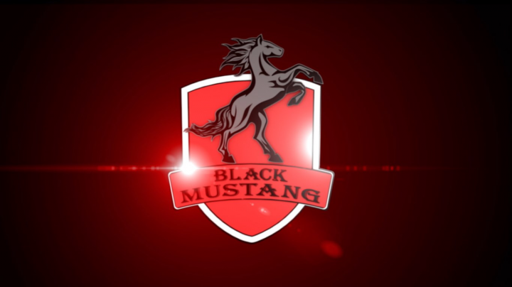 Анимация логотипа (BLACK MUSTANG)