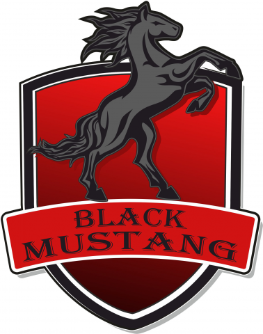 Логотип (Black Mustang)