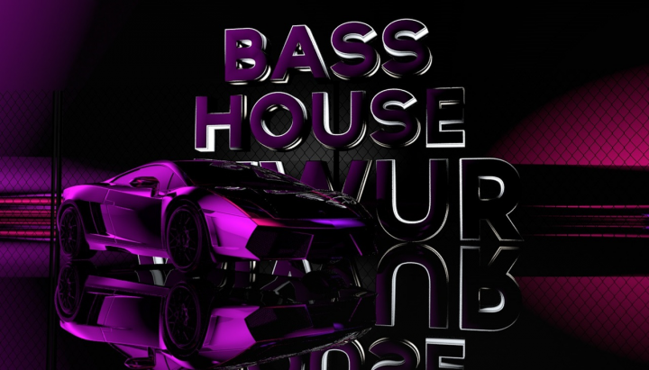 MIWUR - BASS HOUSE