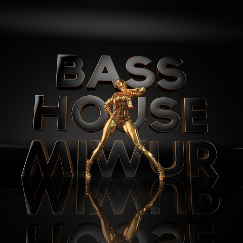 Обложка микса BASS HOUSE  (500х500)