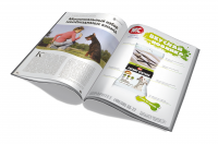 рекламный модуль в профильное СМИ