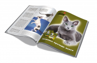 рекламный модуль в профильное СМИ