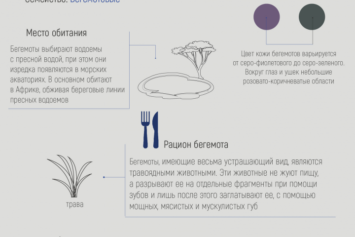 Инфографика_Бегемот