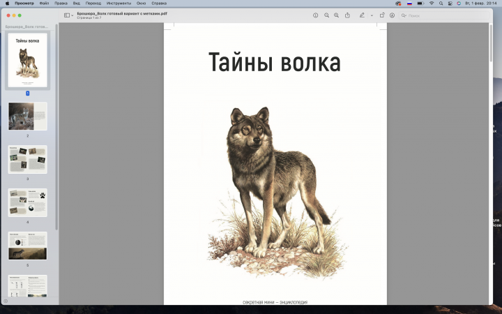 Брошюра