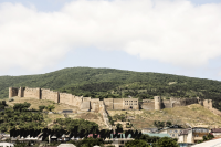 Работа 2137330