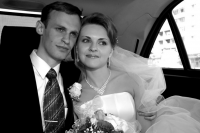 Работа 3002095
