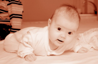 Работа 3002236