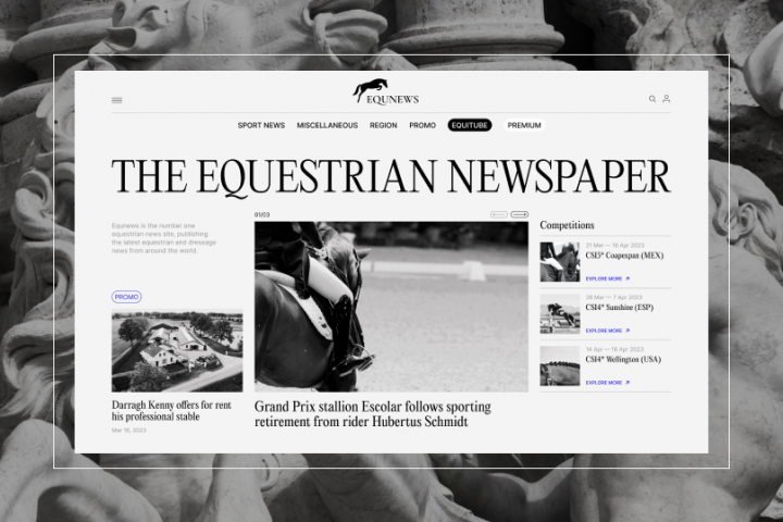 Редизайн новостного сайта Equnews