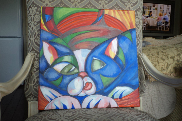 котики