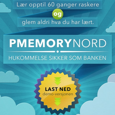 Продвижение сайта PMemoryNord