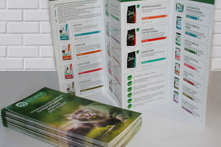 Лифлет - 2000 р.