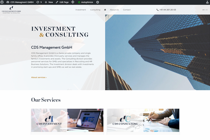 «CDS» — верстка/посадка мультияз. сайта (WordPress)