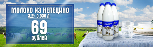 Работа 3181143