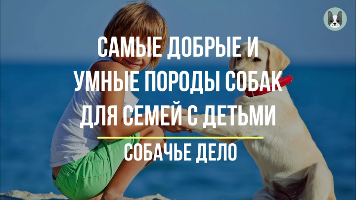 Самые добрые и умные породы собак для семей с детьми
