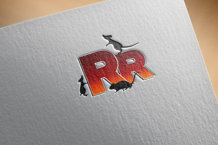 Логотип YouTub канала RR