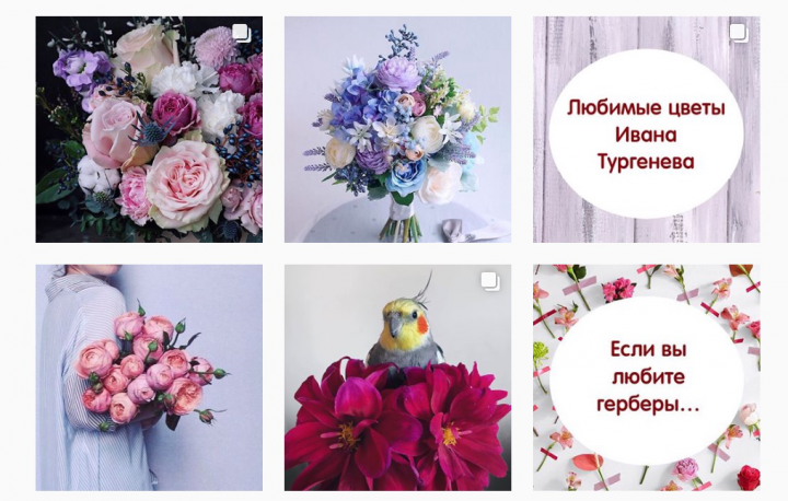 SMM | Iren Fiori