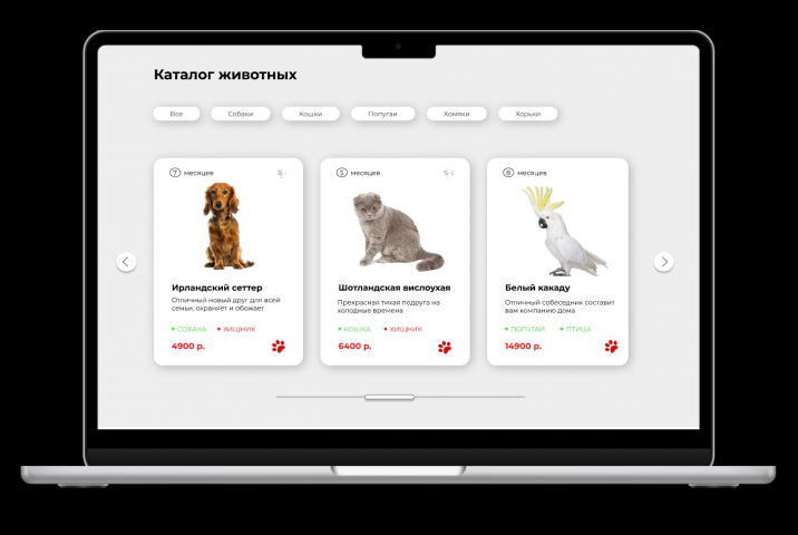 HappyPet - pet's shop website design