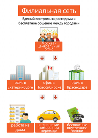 Инфографика