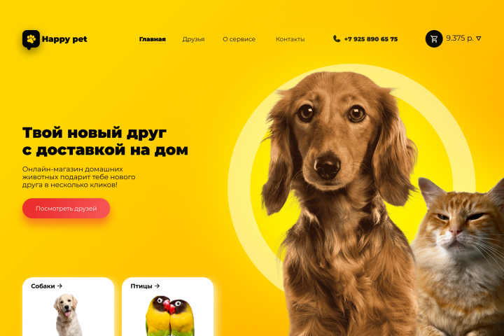 PET STORE | ЗООМАГАЗИН