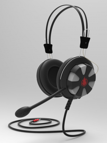Earphones
