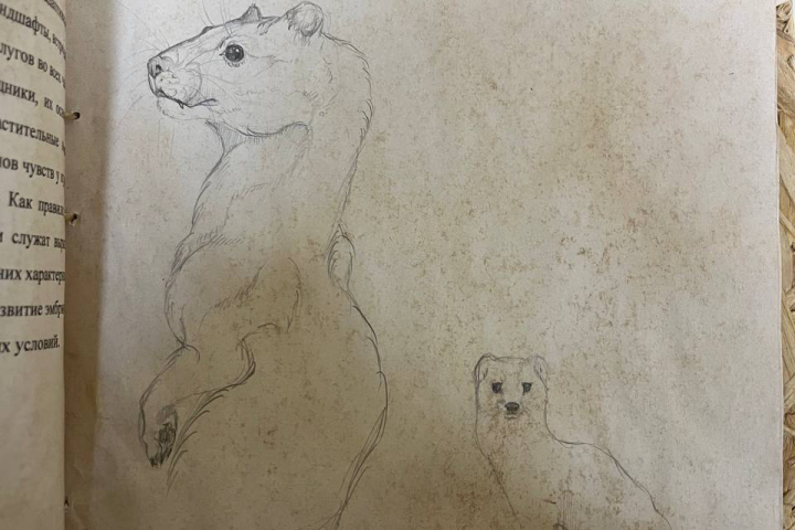 Скетч