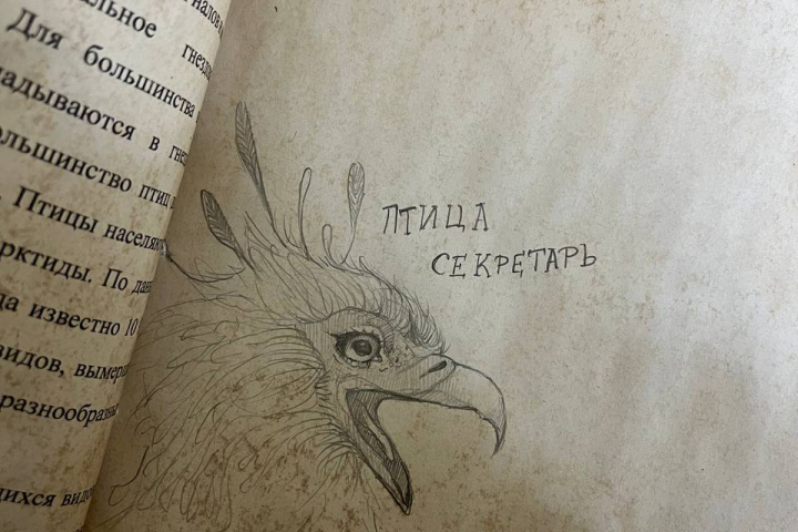 Скетч
