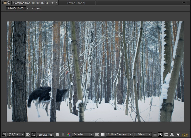 вставка в видео 002.jpg