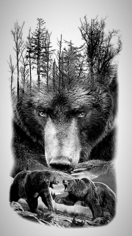 Работа 4428117