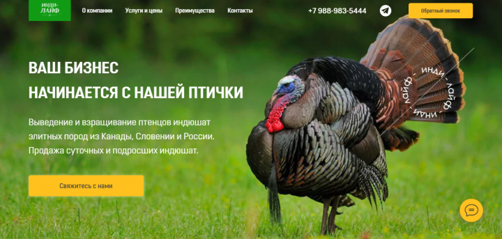 Ферма индюшат