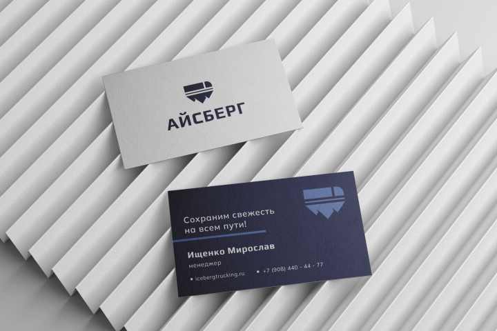 Разработка логотипа для экспедиционной компании