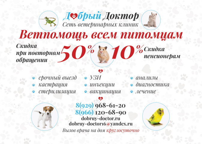 Разработка листовки