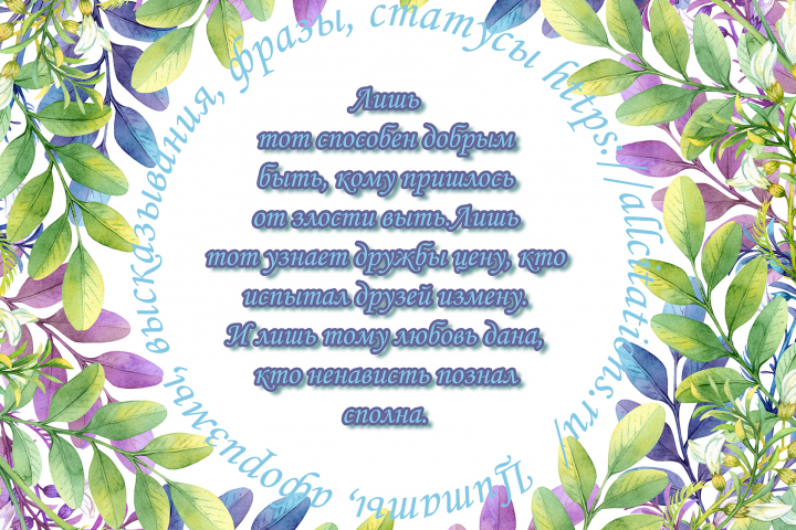 Текст.