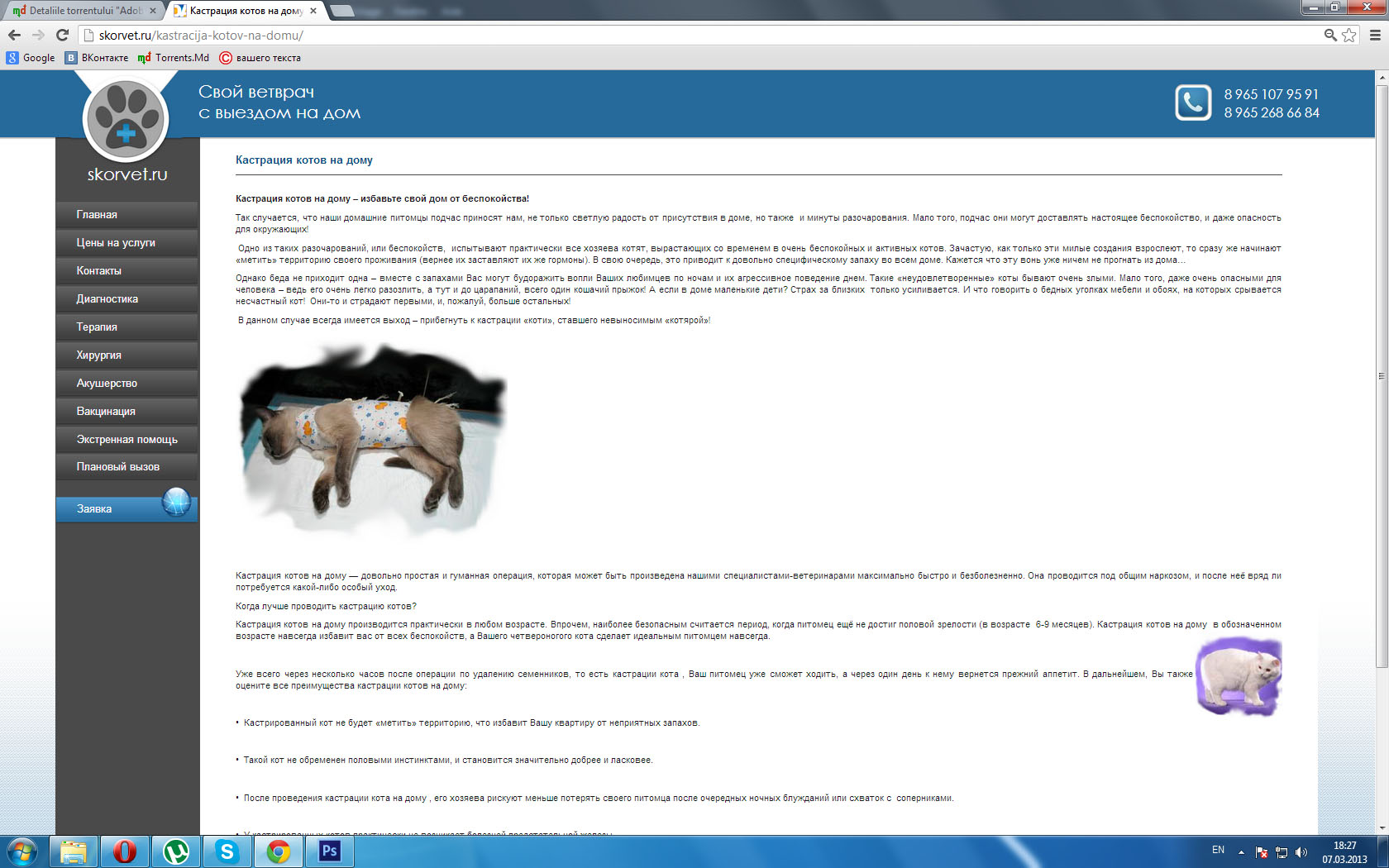 skorvet-screenshot.jpg