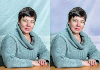 Работа 2736065
